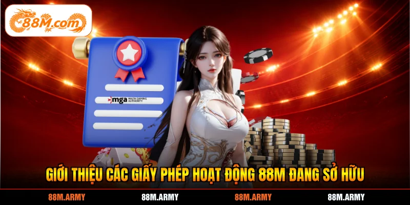 Giới thiệu các giấy phép hoạt động 88M đang sở hữu